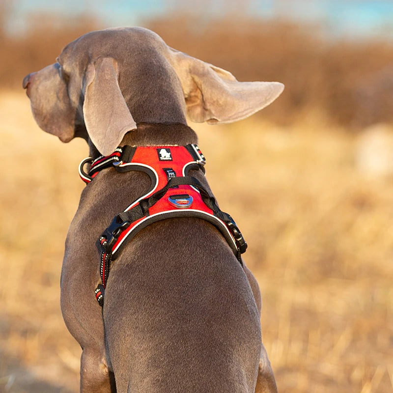 TRUELOVE Reflective Nylon Dog Harness No Pull Adjustable for Outdoor