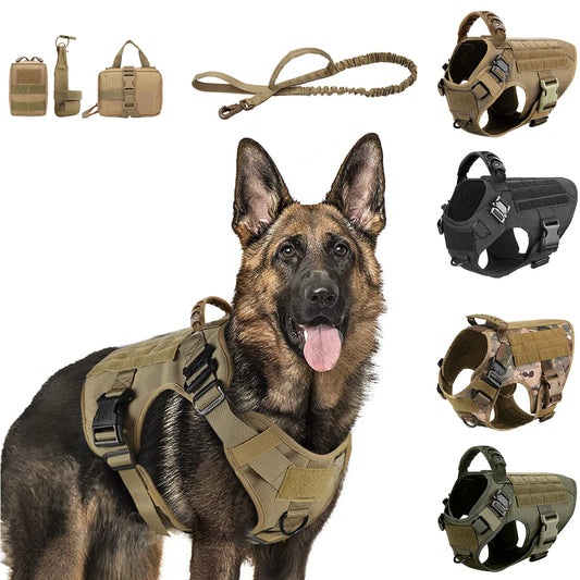 PETRAVEL Nylon Dog Harness And Leash Set Vest For Training