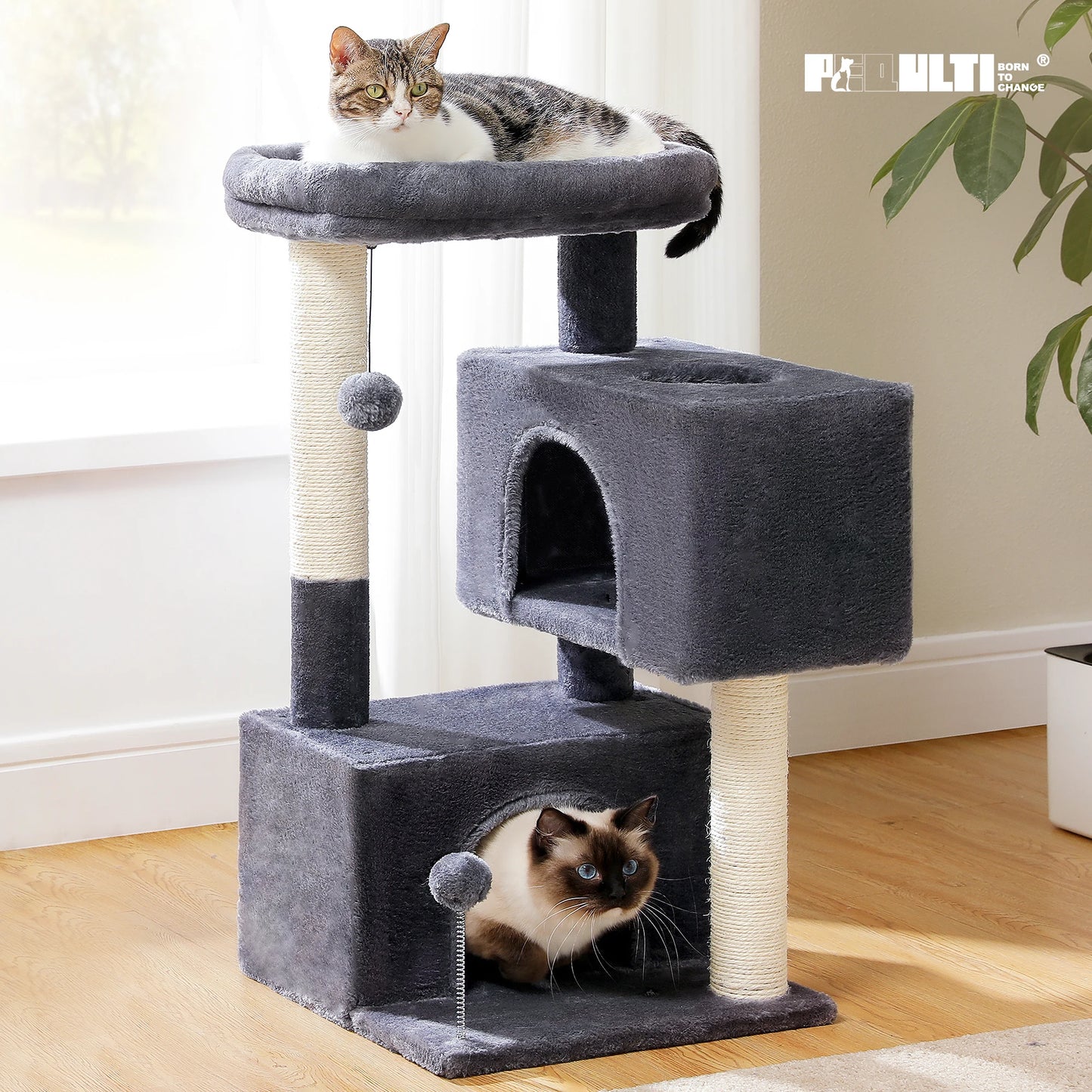 PAWZ Road Large Cat Tree Indoor Multi-Level Tower With Condos