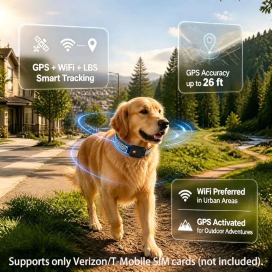 Yao Hui Huang GPS Dog Collar Real Time Wireless Alert