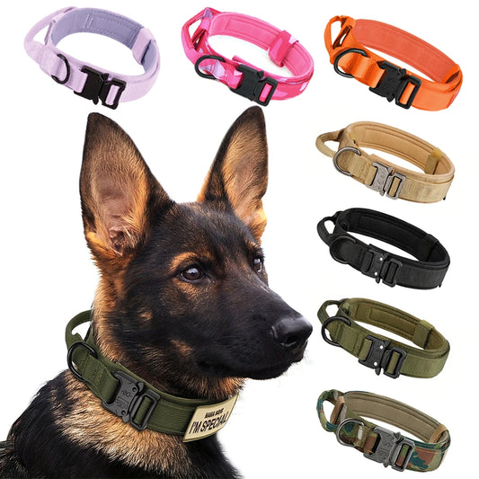 Dog Training Collar Adjustable Tactical Collar And Leash Set