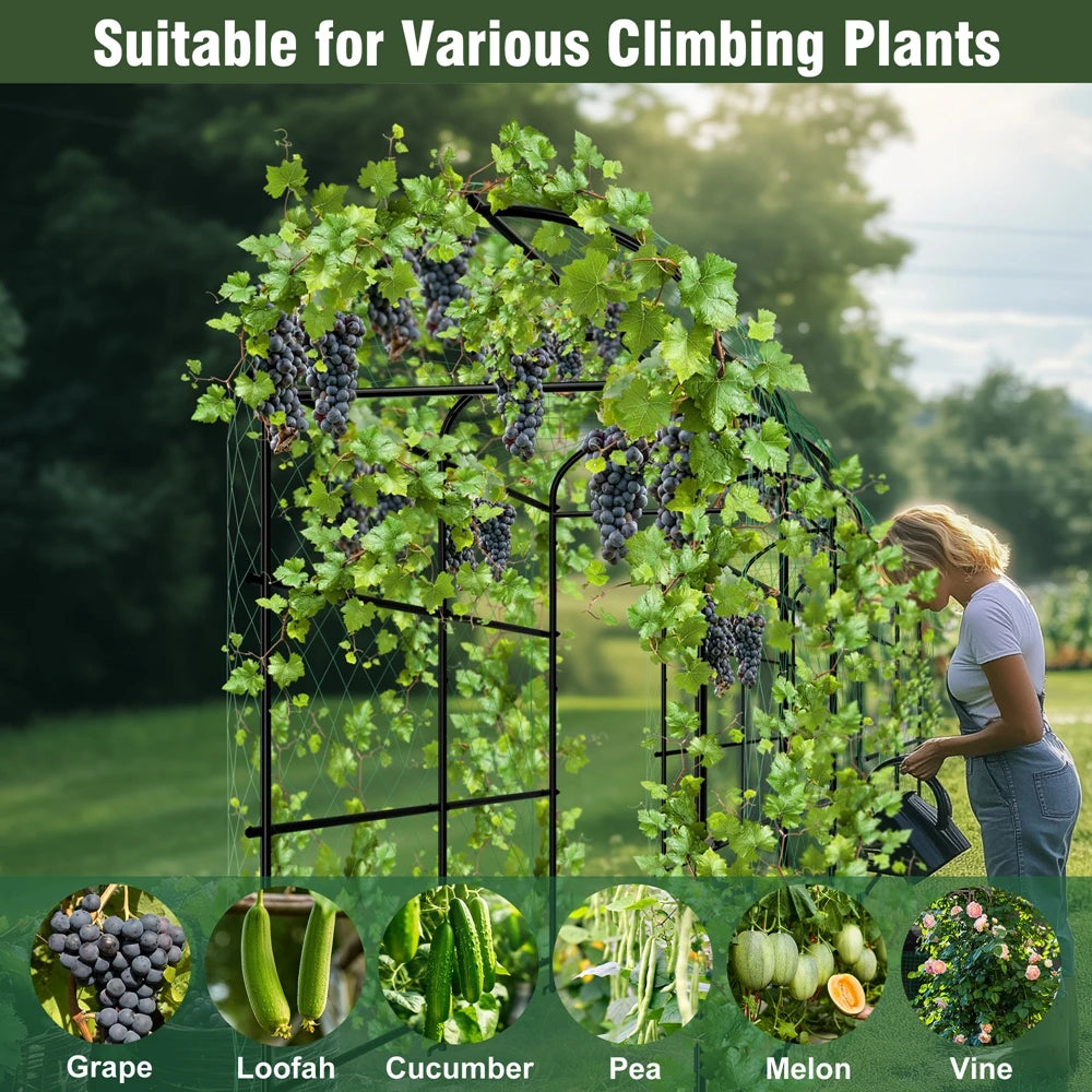 Wisfor U Shaped Metal Garden Plant Trellis For Climbing Vegetables