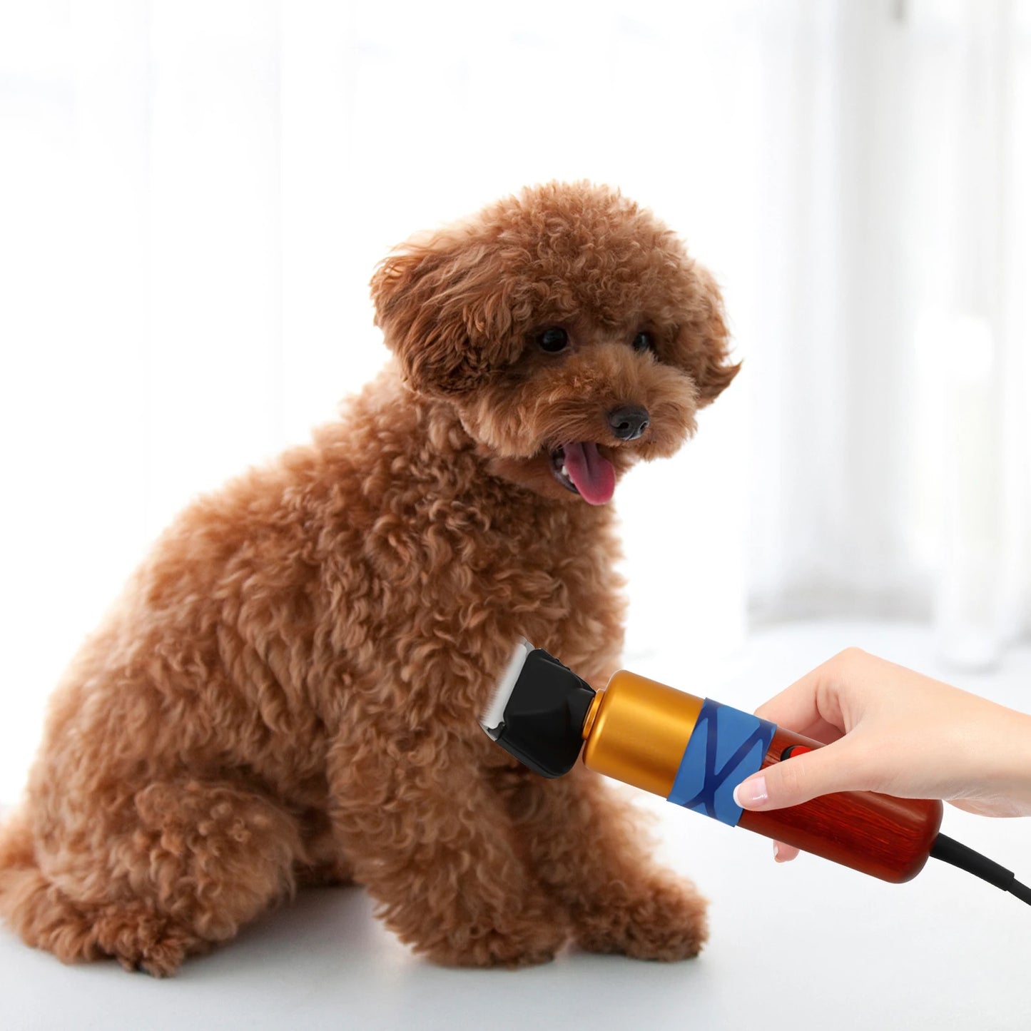 Pet Hair Clipper Low Noise Electric Variable Speed Professional Grooming
