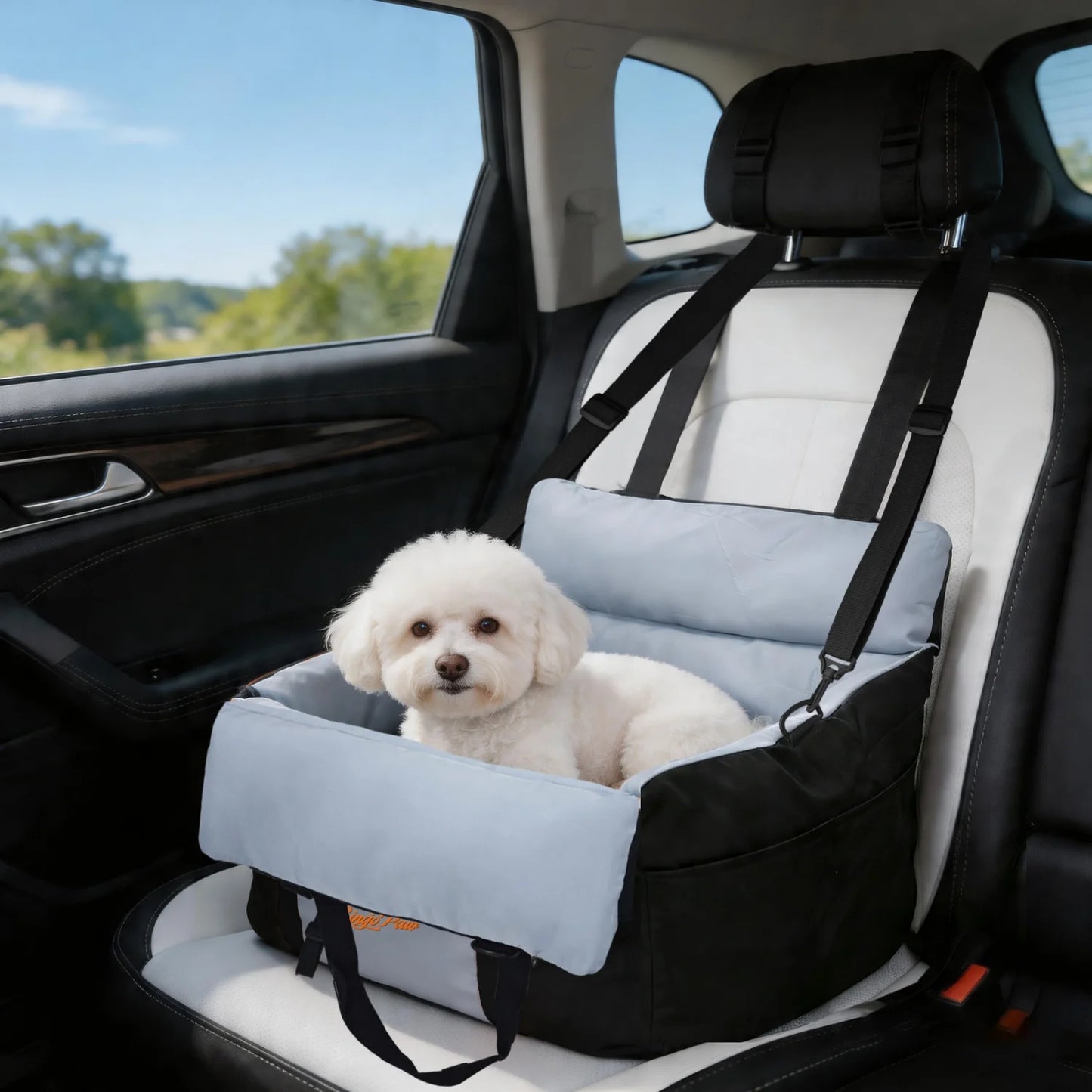 BINGOPAW Dog Car Seat Booster Carrier For Safe Travel