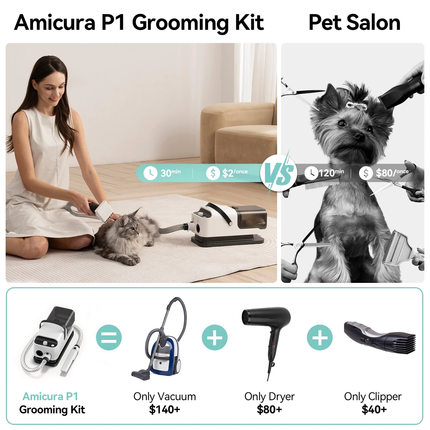 P1 Vacuum Cleaner and Hair Dryer for Pet Grooming Tools