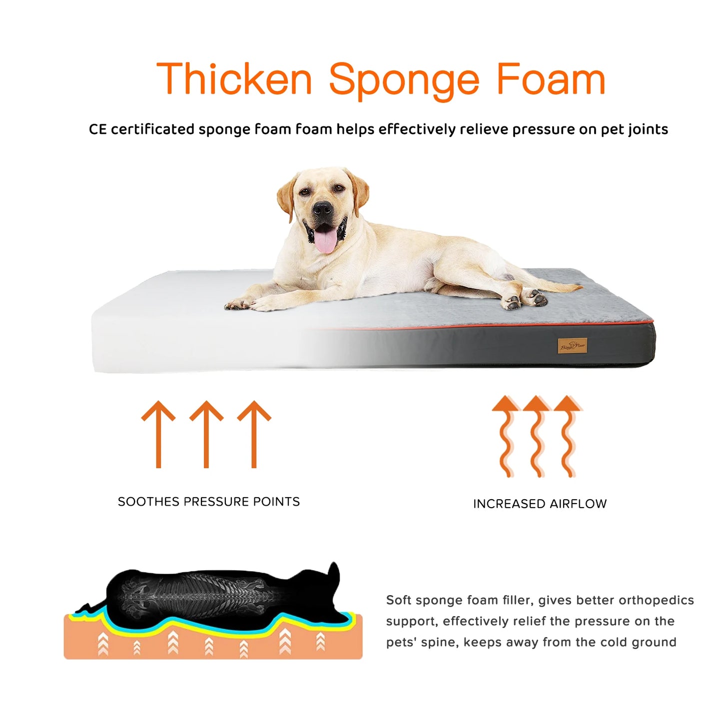 BINGOPAW Orthopedic Dog Bed With Foam Cushion And Washable Cover