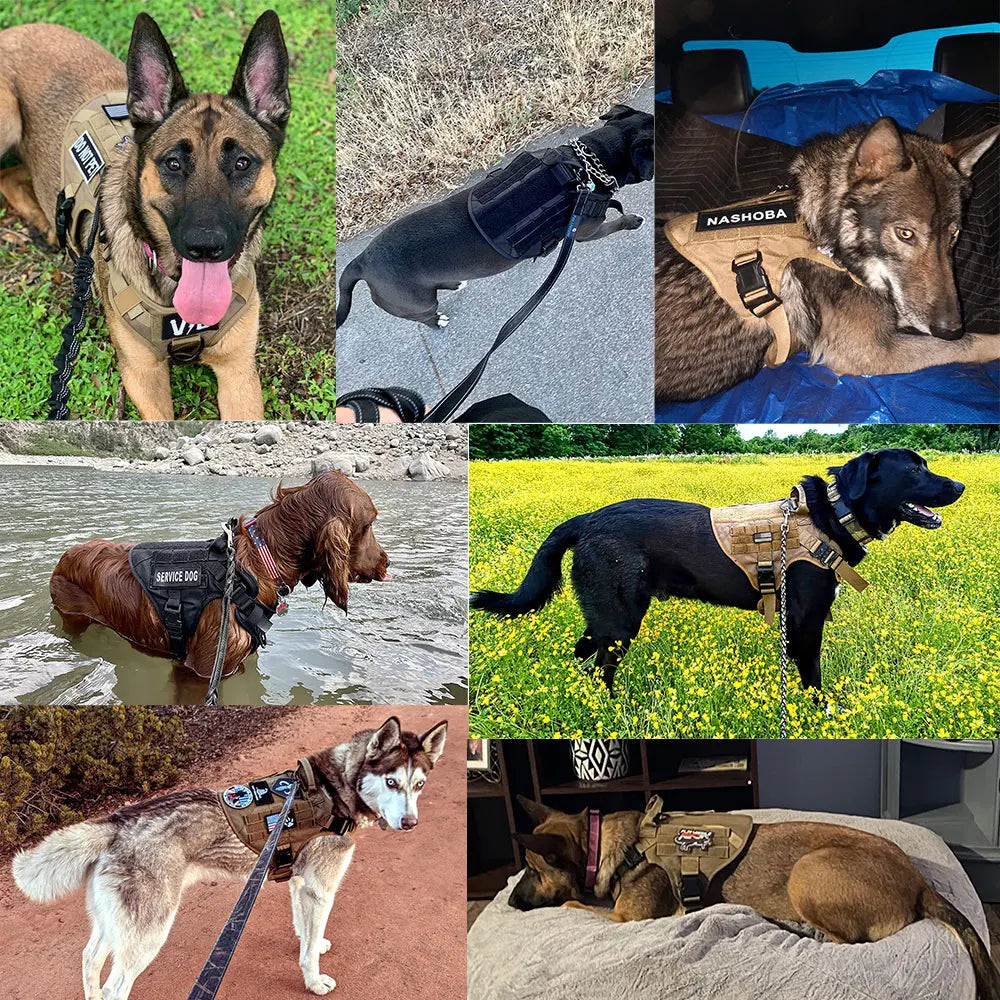 Nylon Dog Harness Leash And Collar Set For German Shepherd Malinois