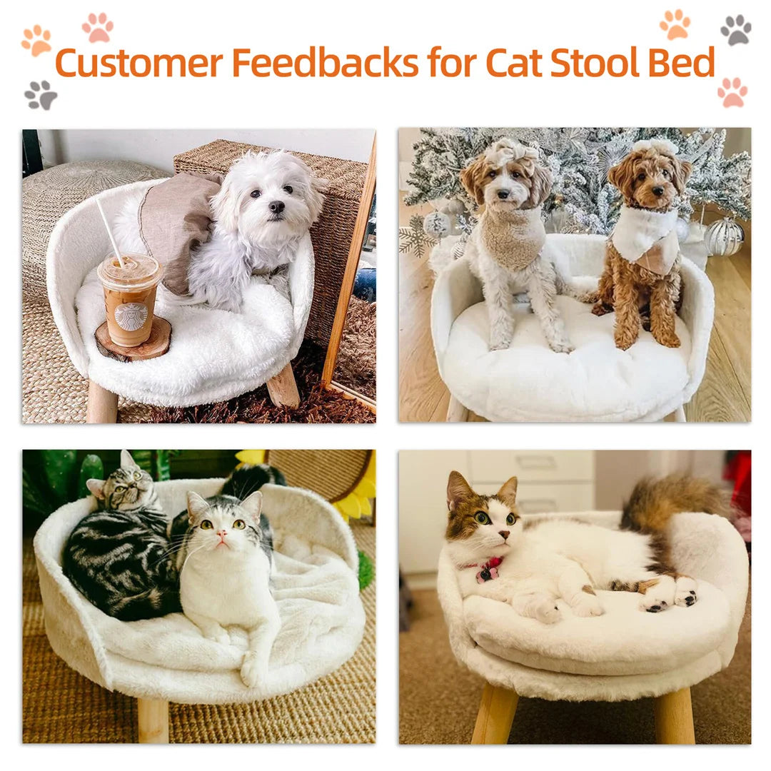 BINGOPAW Luxury Plush Cat Bed Nest With Wood Leg Support For Small Pets