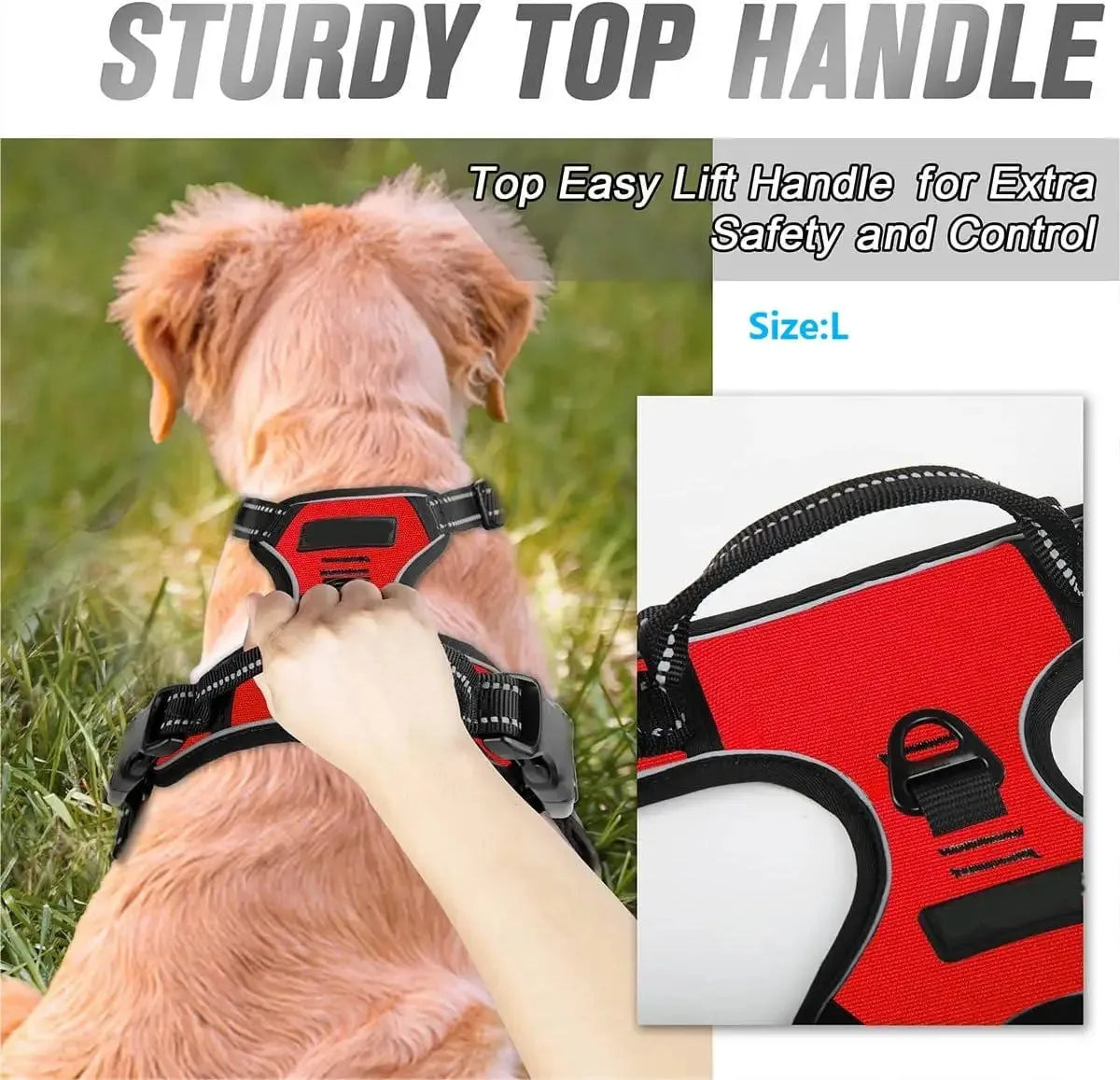 Dog Collars Harness Set Leather Puppy Accessories For All Breeds