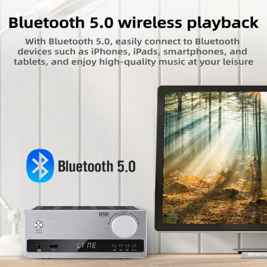 GZWENJIE Integrated Power Amplifier With Bluetooth And USB DAC