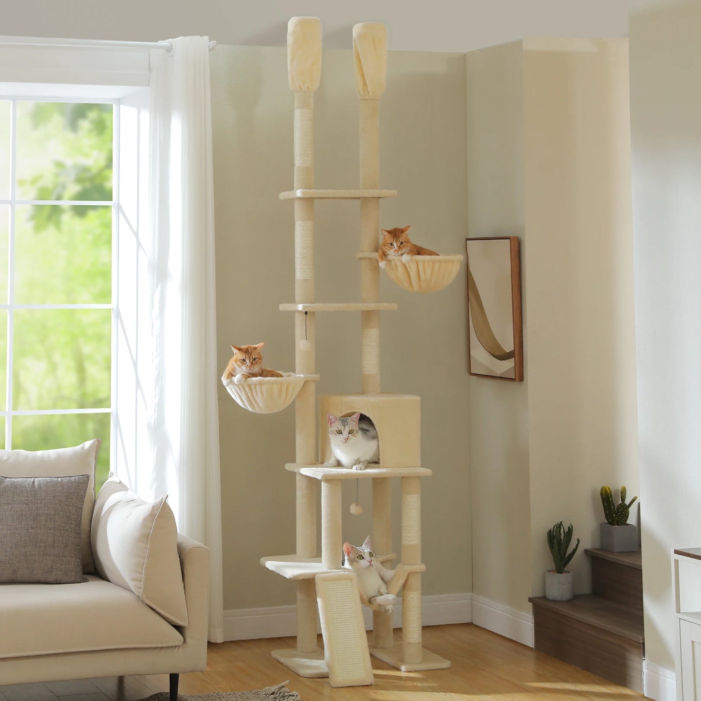 PAWZ Road Floor To Ceiling Cat Tree Condos And Hammocks