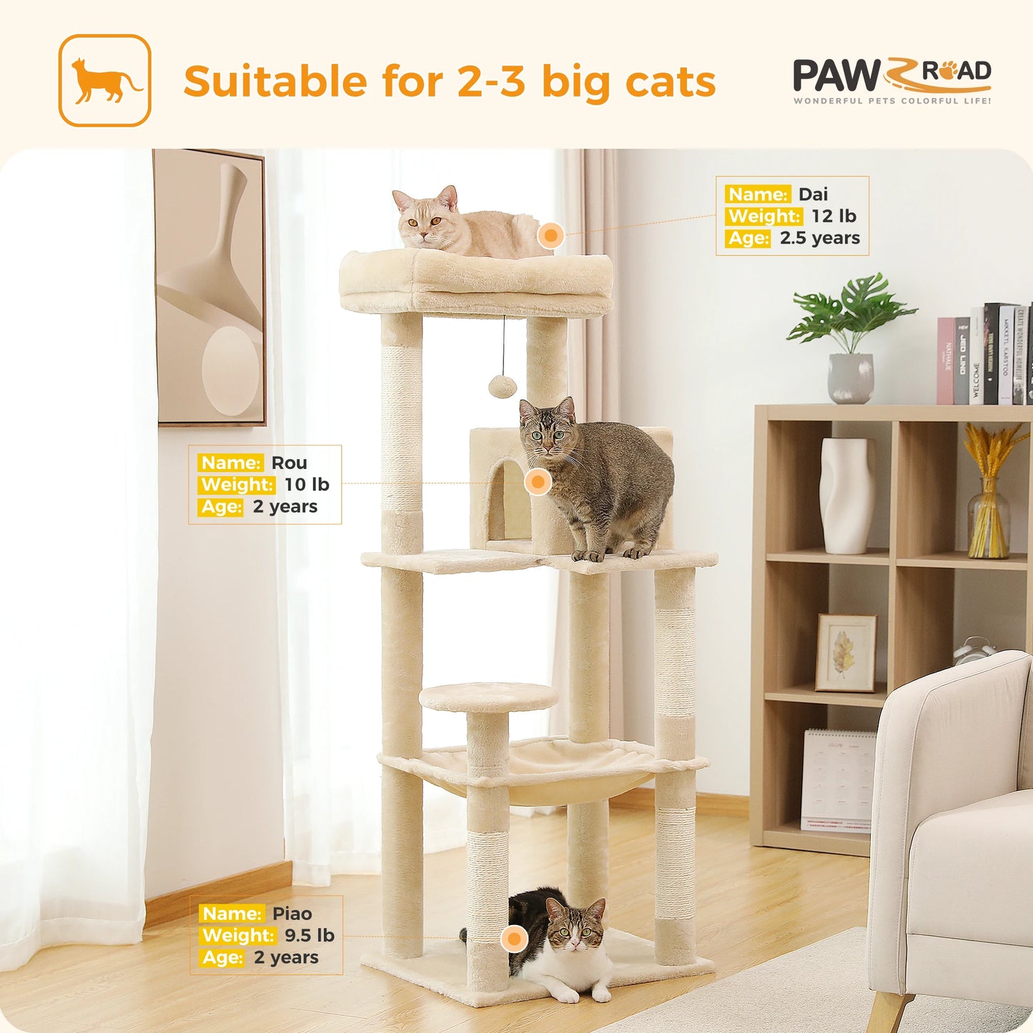PAWZ Road Cat Tree Indoor Five-Level Scratching Tower