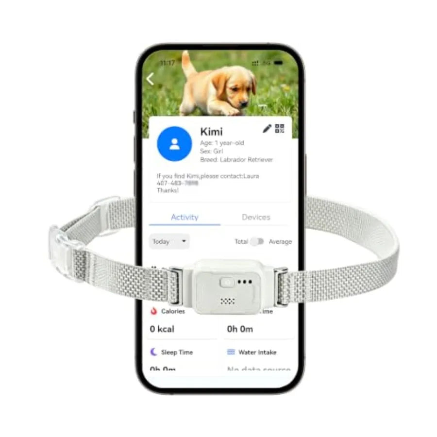 Yao Hui Huang GPS Dog Collar Real Time Wireless Alert