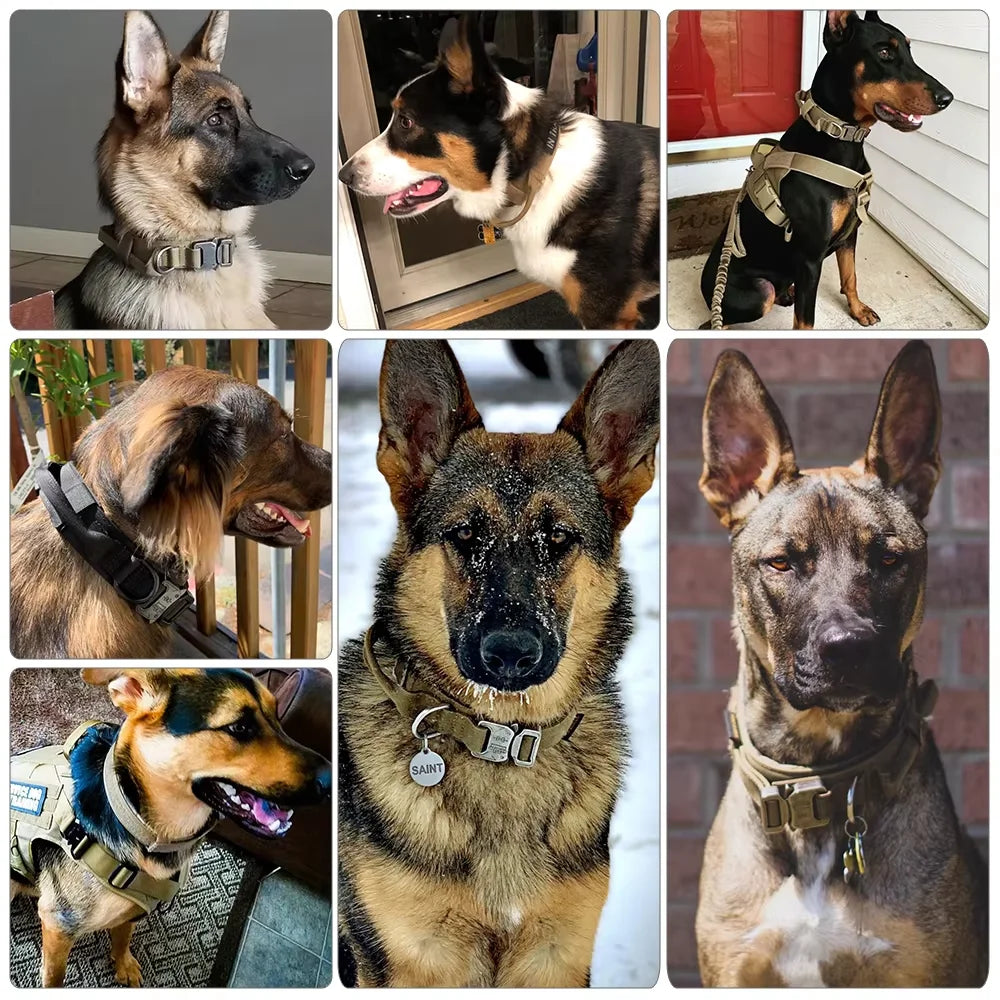 Dog Training Collar Adjustable Tactical Collar And Leash Set