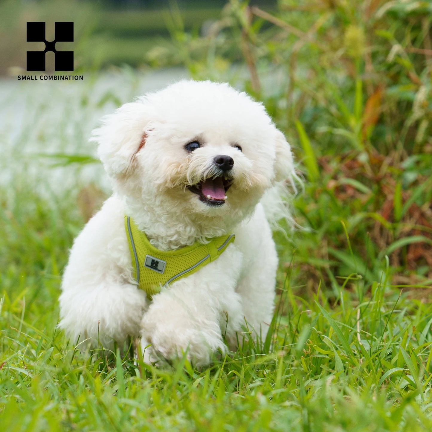 Small Combination Reflective Dog Harness Leash Set Adjustable