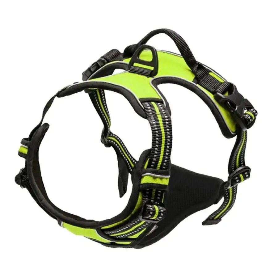 Dog Collars Harness Set Leather Puppy Accessories For All Breeds