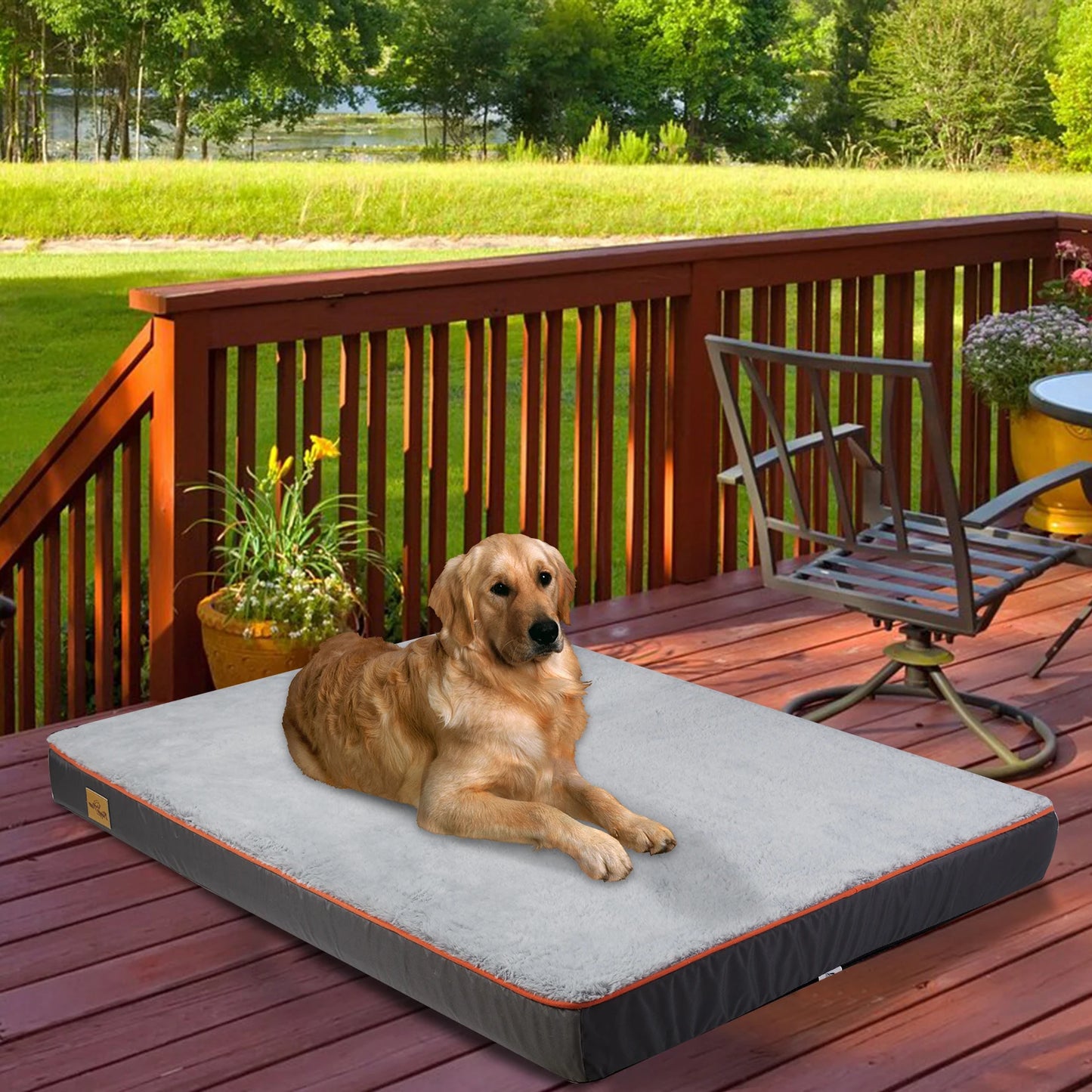 BINGOPAW Orthopedic Dog Bed With Foam Cushion And Washable Cover