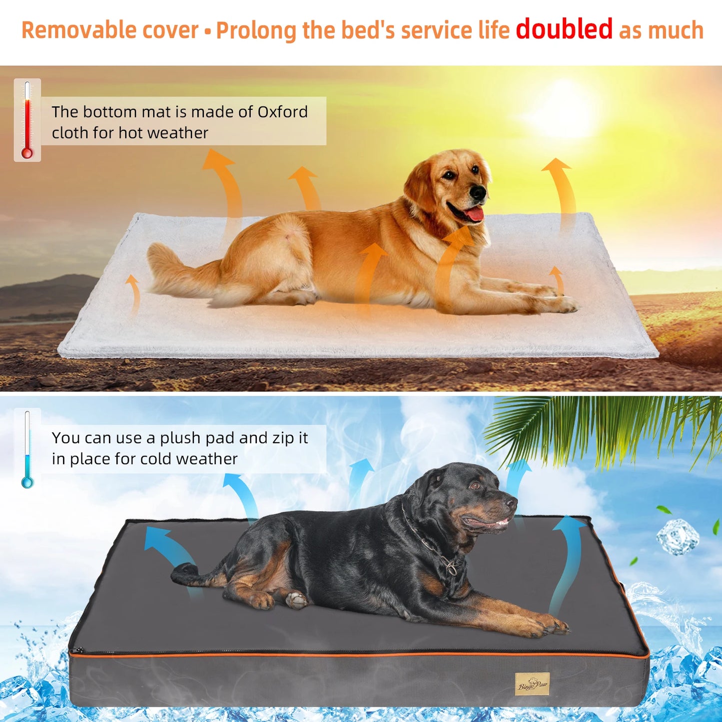BINGOPAW Orthopedic Dog Bed With Foam Cushion And Washable Cover