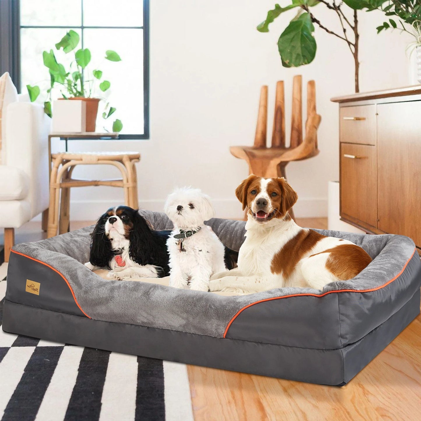 BINGOPAW Orthopedic Foam Dog Bed With Cotton Padded Bolster