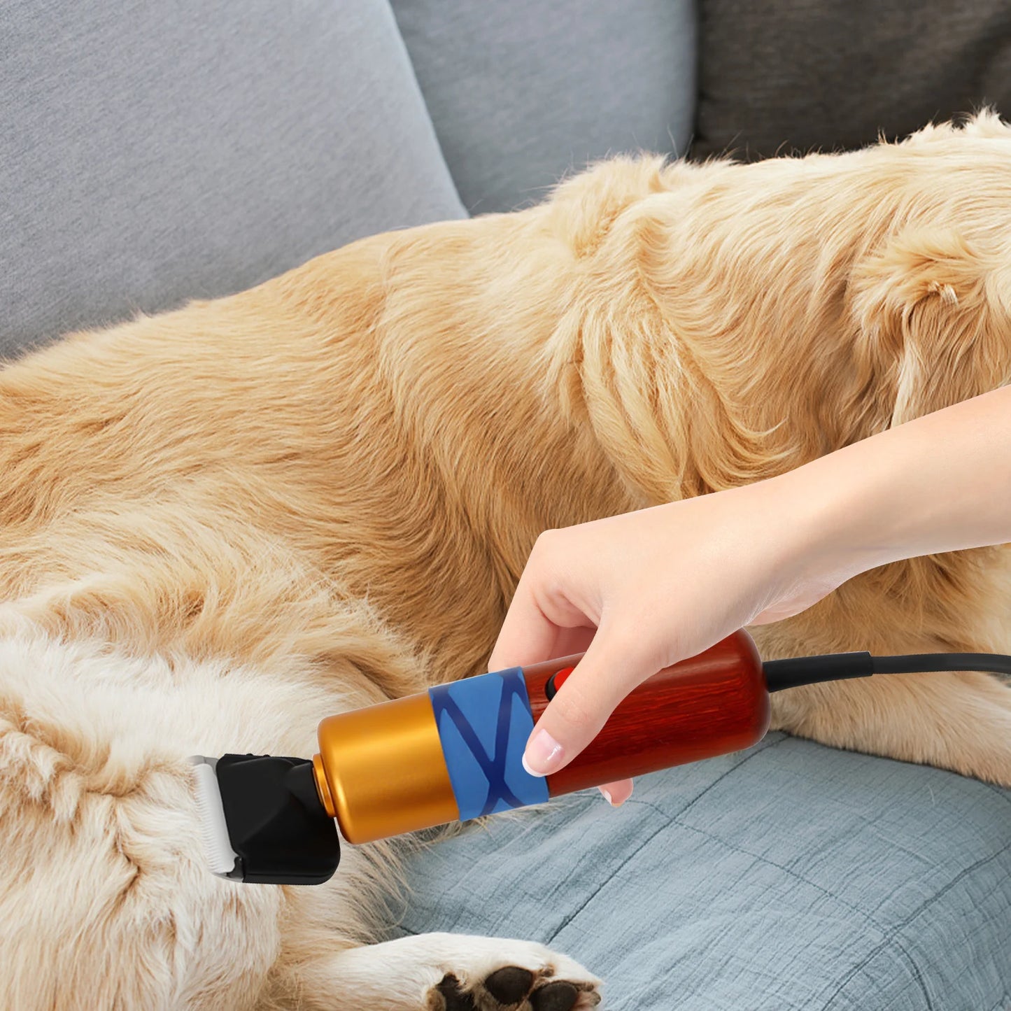 Pet Hair Clipper Low Noise Electric Variable Speed Professional Grooming