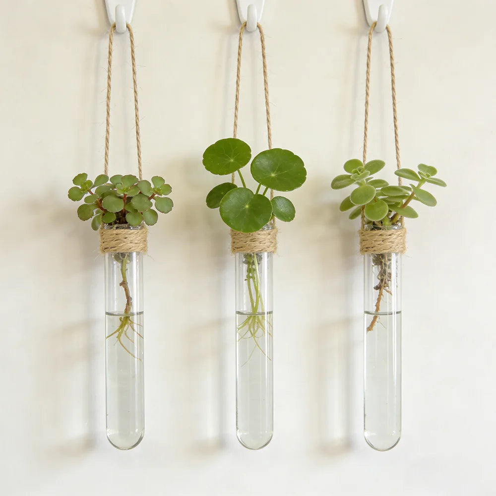 Hydroponic Flower Vase Wall-Mounted Test-Tube Holder Decor