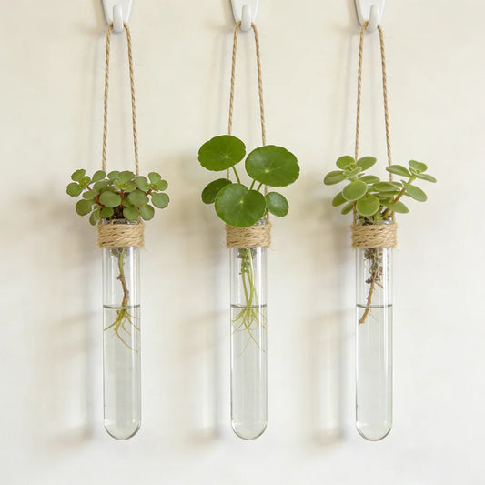 Hydroponic Flower Vase Wall-Mounted Test-Tube Holder Decor