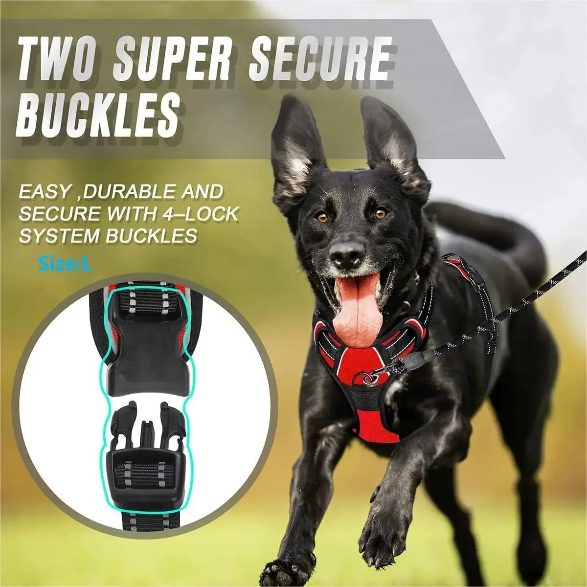 Dog Collars Harness Set Leather Puppy Accessories For All Breeds