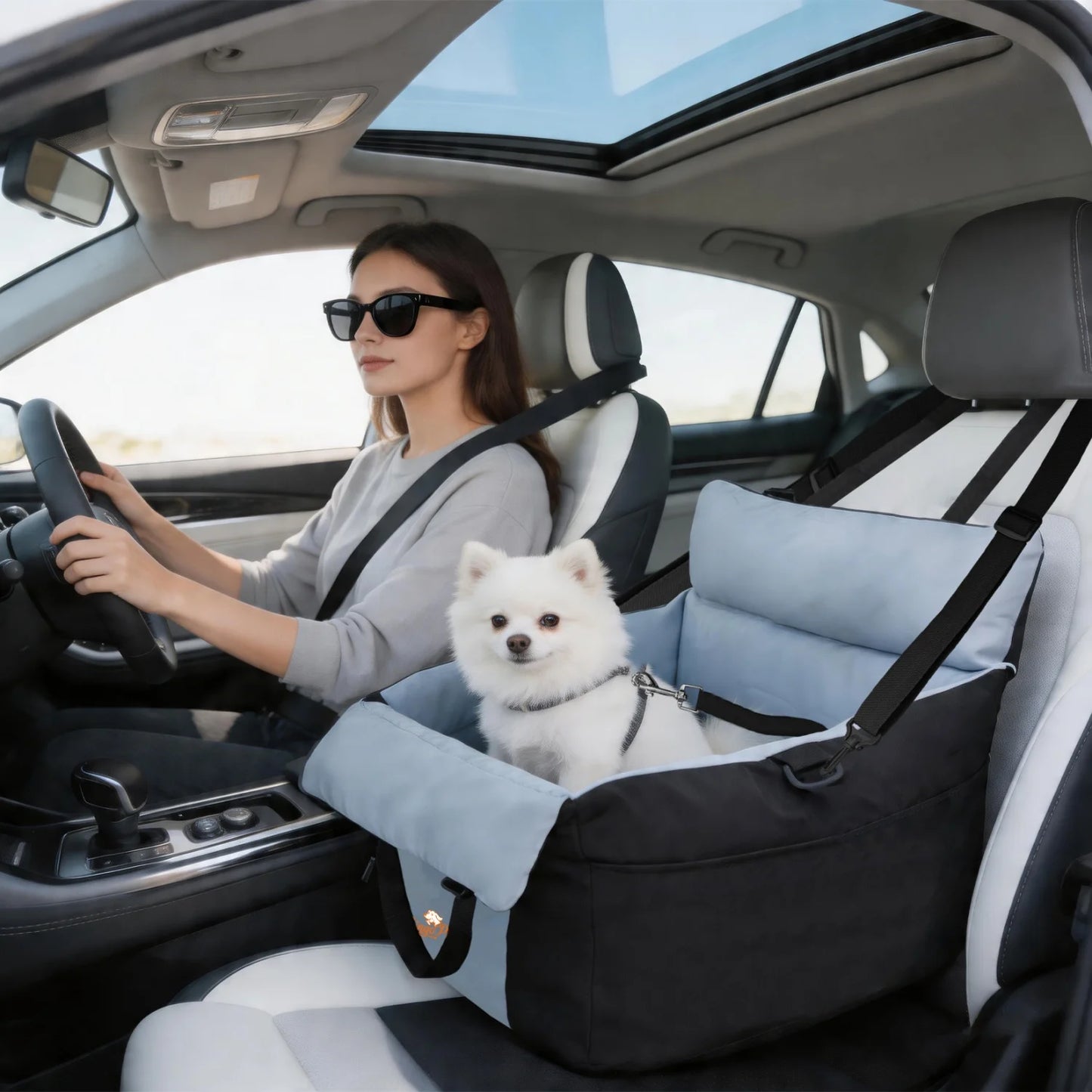 BINGOPAW Dog Car Seat Booster Carrier For Safe Travel