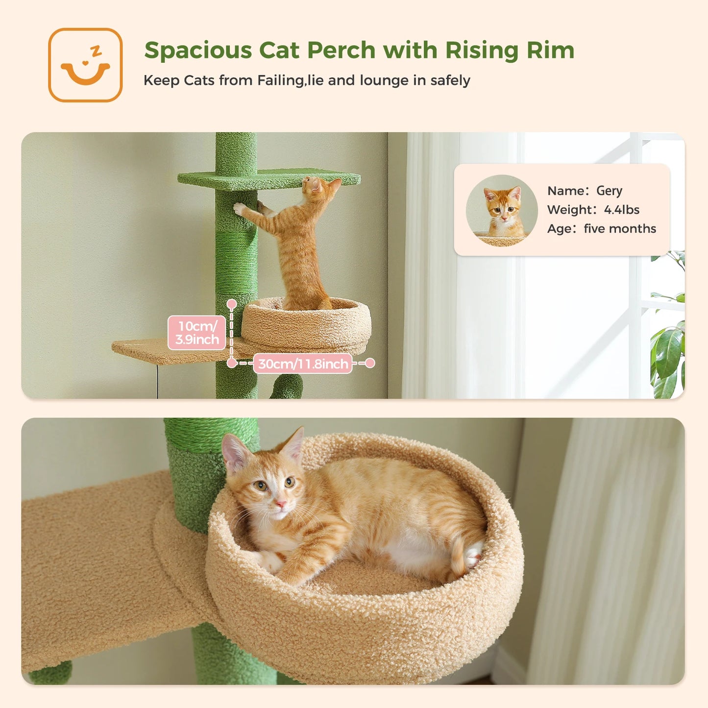 PEQULTI Adjustable Height Cactus Cat Tree For Indoor Cats With Hammock