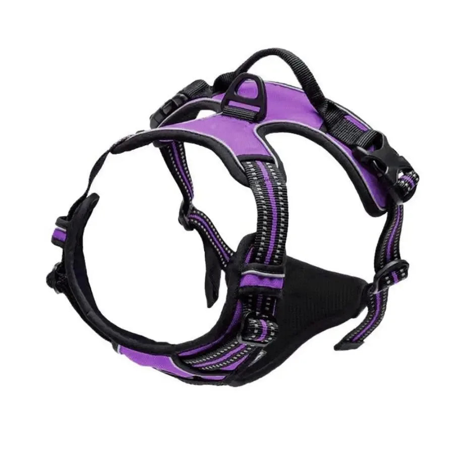 Dog Collars Harness Set Leather Puppy Accessories For All Breeds