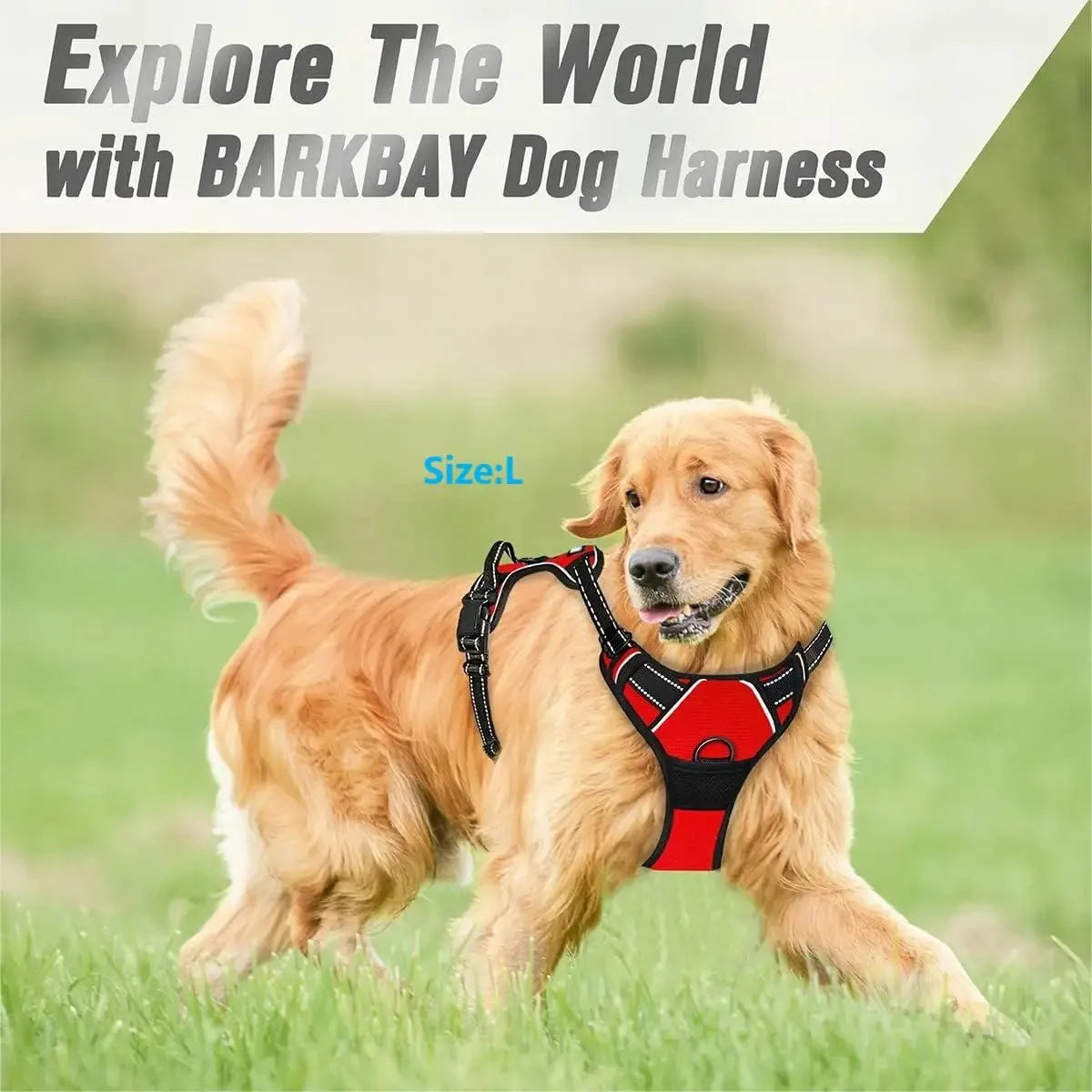 Dog Collars Harness Set Leather Puppy Accessories For All Breeds