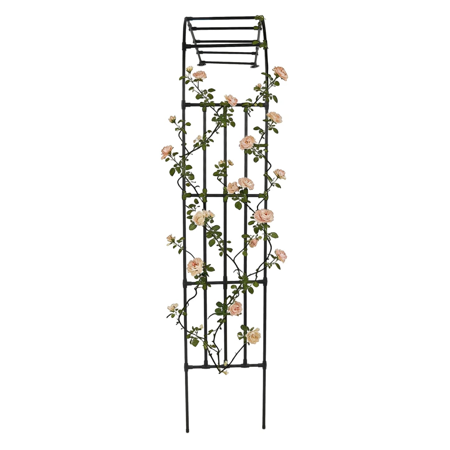 Half Side Garden Arch Trellis Steel Free Standing Plant Support