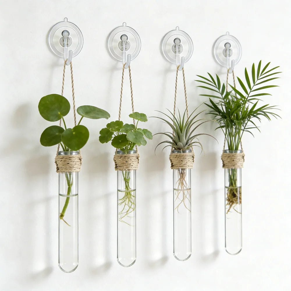 Hydroponic Flower Vase Wall-Mounted Test-Tube Holder Decor
