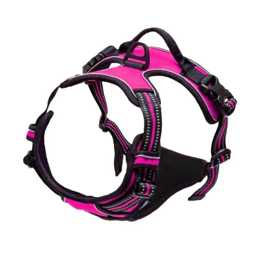 Dog Collars Harness Set Leather Puppy Accessories For All Breeds