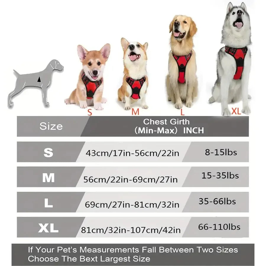 Dog Collars Harness Set Leather Puppy Accessories For All Breeds